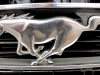 Ford Mustang Logo